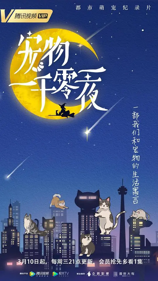 宠物一千零一夜 海报