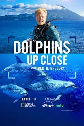 《摄影师贝尔蒂与海豚零距离》：捕捉海洋精灵的奇幻旅程，一场视觉与心灵的震撼对话！